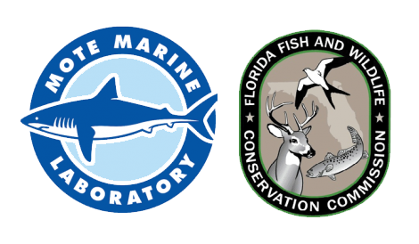 Logos for Mote Marine Laboratory and the Florida Fish and Wildlife Conservation Commission side by side